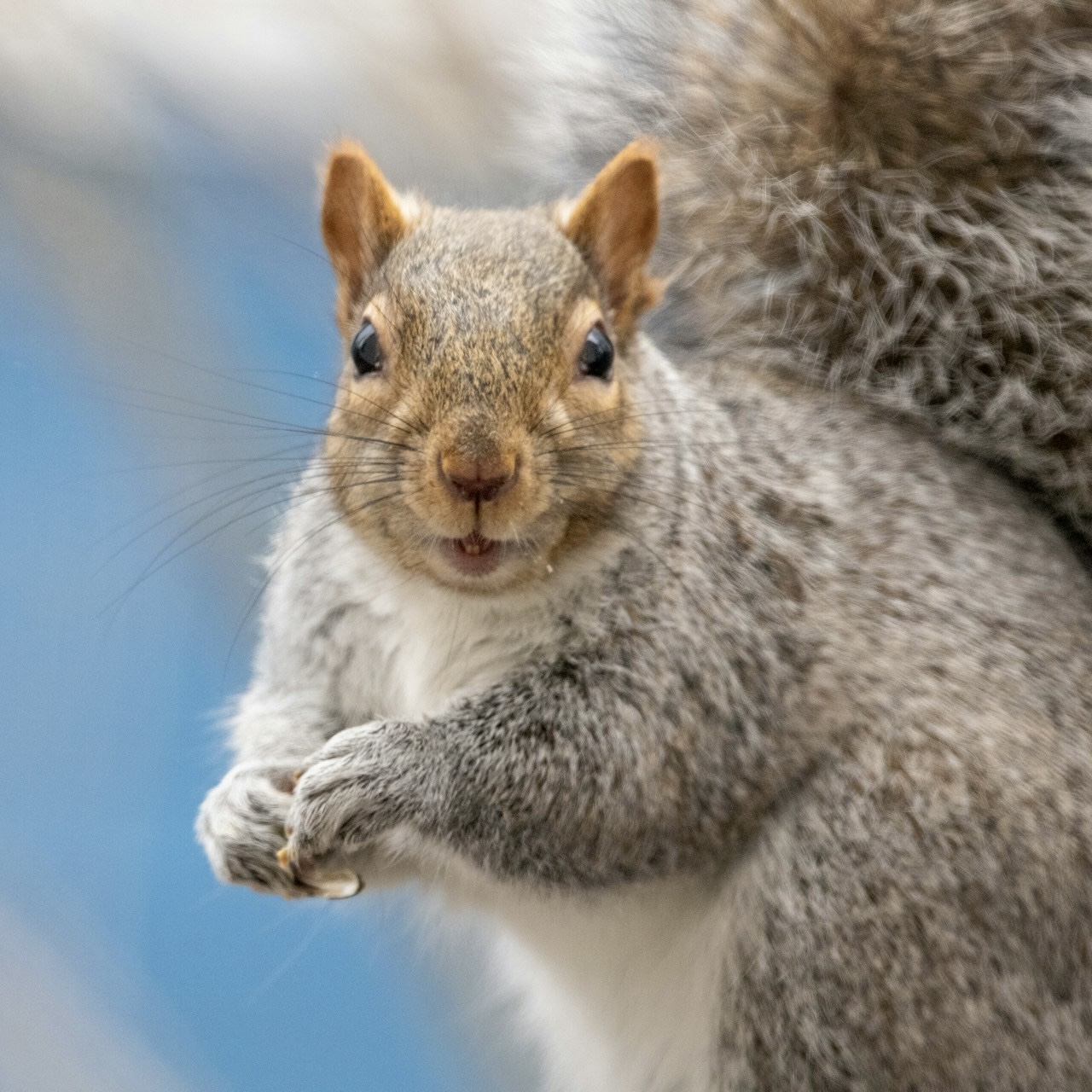 Portrait of Georgia Metz